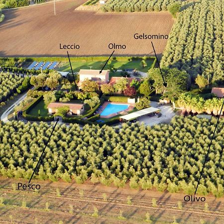 Podere Campi Al Mare ドノラティコ エクステリア 写真
