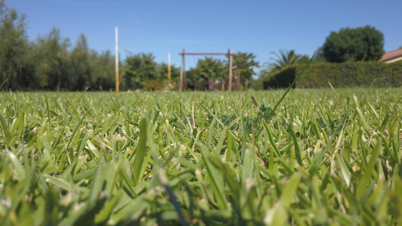 Podere Campi Al Mare ドノラティコ エクステリア 写真