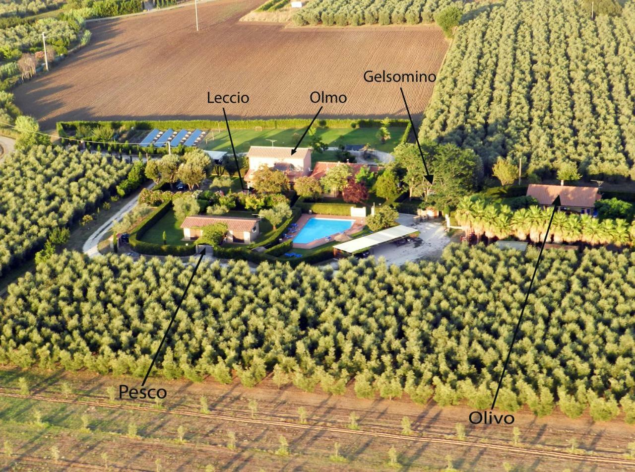 Podere Campi Al Mare ドノラティコ エクステリア 写真